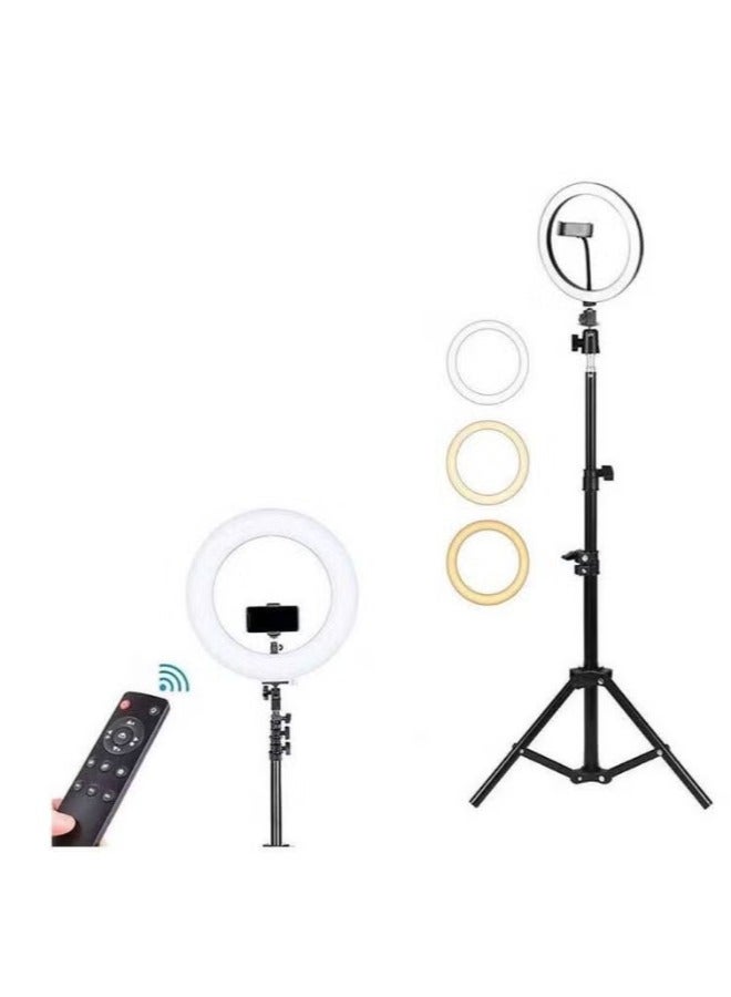 دريمزون 14 بوصة دائرة عاكسة للضوء LED ستوديو سيلفي حلقة ضوء لكاميرا الماكياج التصوير الفوتوغرافي وتصوير الفيديو - Image 3