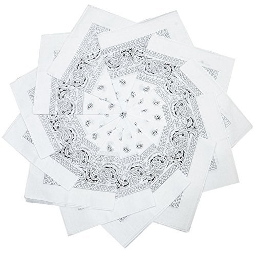 TZ Promise 12 Pack Bulk 100% Cotton Paisley Bandana Head Wrap Size 22 x 22 inches - Image 1