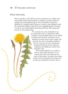 Self-Sufficiency: Herbs and Spices  - Image 3