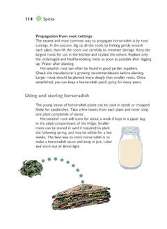 Self-Sufficiency: Herbs and Spices  - Image 1