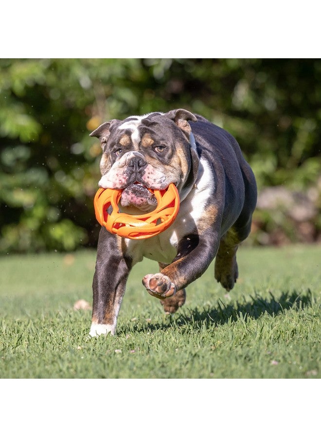 Chuckit! Chuckit Air Fetch Wheel Doy Toy, Orange - Image 5