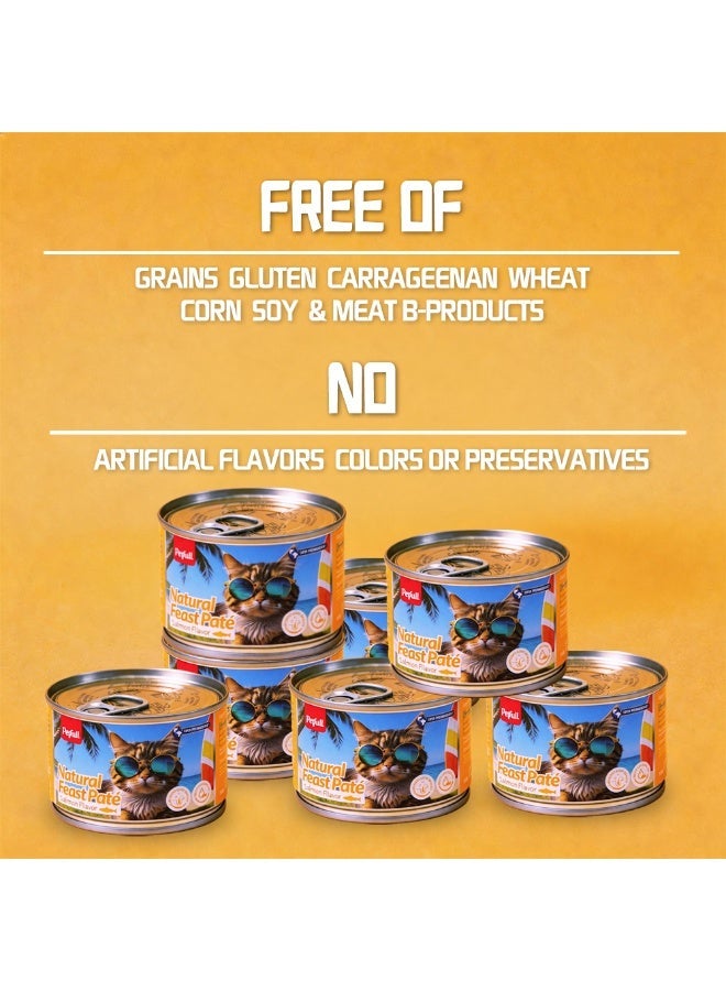 Petfull Salmon Wet Cat Food – 170g Grain-Free Canned Cat Food with Salmon Oil – Hydrolyzed Protein for Skin & Coat Health – Premium Main Meal for Cats & Kittens - Image 3