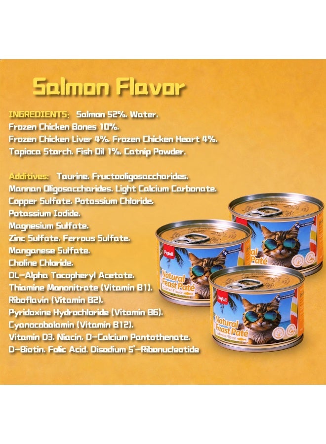 Petfull Salmon Wet Cat Food – 170g Grain-Free Canned Cat Food with Salmon Oil – Hydrolyzed Protein for Skin & Coat Health – Premium Main Meal for Cats & Kittens - Image 5