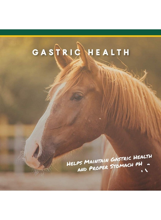 مانا برو حبيبات كورتا-فليكس يو-جارد - مكمل غذائي للخيول يُساعد على الهضم ويحافظ على صحة المعدة - يُساعد على منع تكوّن القرحة - 10 أرطال - Image 2