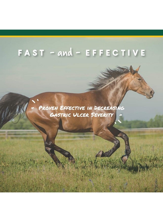 مانا برو حبيبات كورتا-فليكس يو-جارد - مكمل غذائي للخيول يُساعد على الهضم ويحافظ على صحة المعدة - يُساعد على منع تكوّن القرحة - 10 أرطال - Image 4