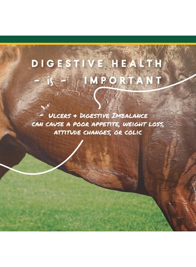 مانا برو حبيبات كورتا-فليكس يو-جارد - مكمل غذائي للخيول يُساعد على الهضم ويحافظ على صحة المعدة - يُساعد على منع تكوّن القرحة - 10 أرطال - Image 3