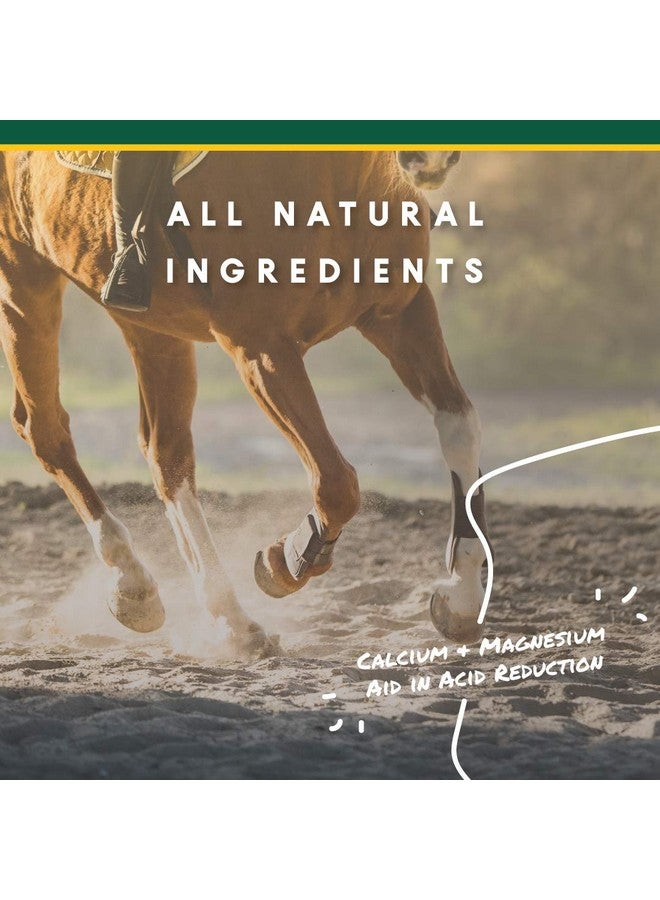 مانا برو حبيبات كورتا-فليكس يو-جارد - مكمل غذائي للخيول يُساعد على الهضم ويحافظ على صحة المعدة - يُساعد على منع تكوّن القرحة - 10 أرطال - Image 5