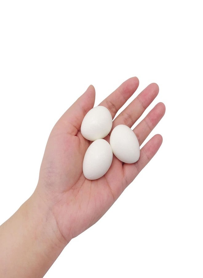 Honbay 12PCS Solid Plastic Simulation Pigeon Eggs Mini Dummy Eggs Hatching Eggs for Pigeon Hatching - Image 5