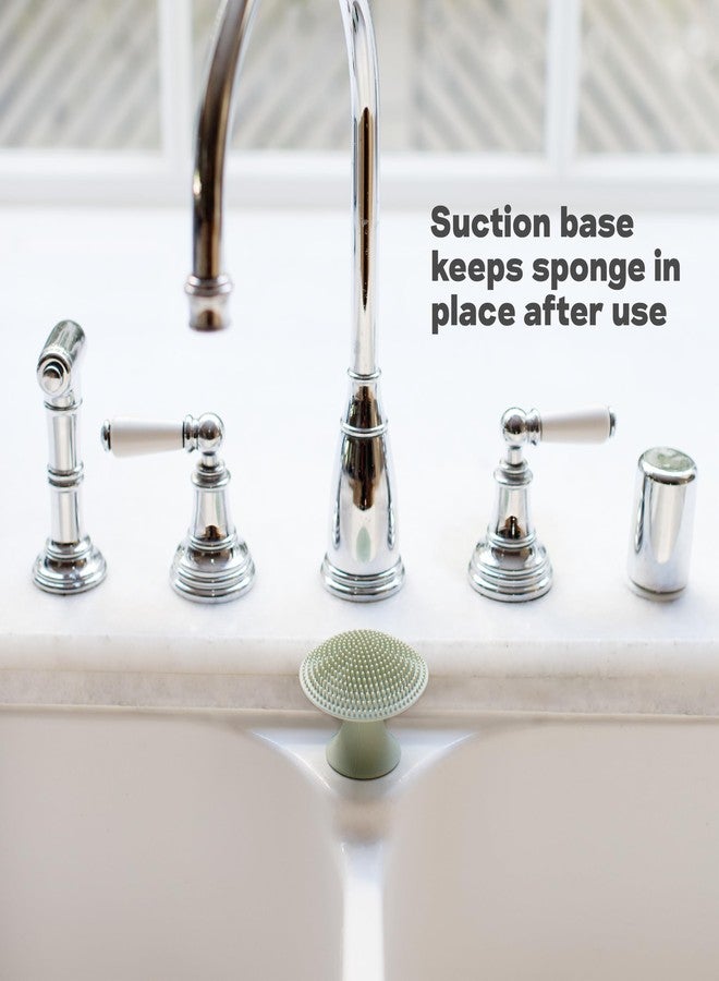 ezpz Mushroom Sponge (Sage) - Odor-Resistant Kitchen Sponge with Soft Bristles, Non-Slip Handle, Suction Base - Gently Cleans Pans, Dishes and Feeding Gear - Image 5