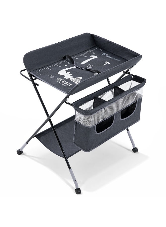 Teknum 4 - in - 1 Diaper Changing Table Organizer - Charcoal Grey - Image 1