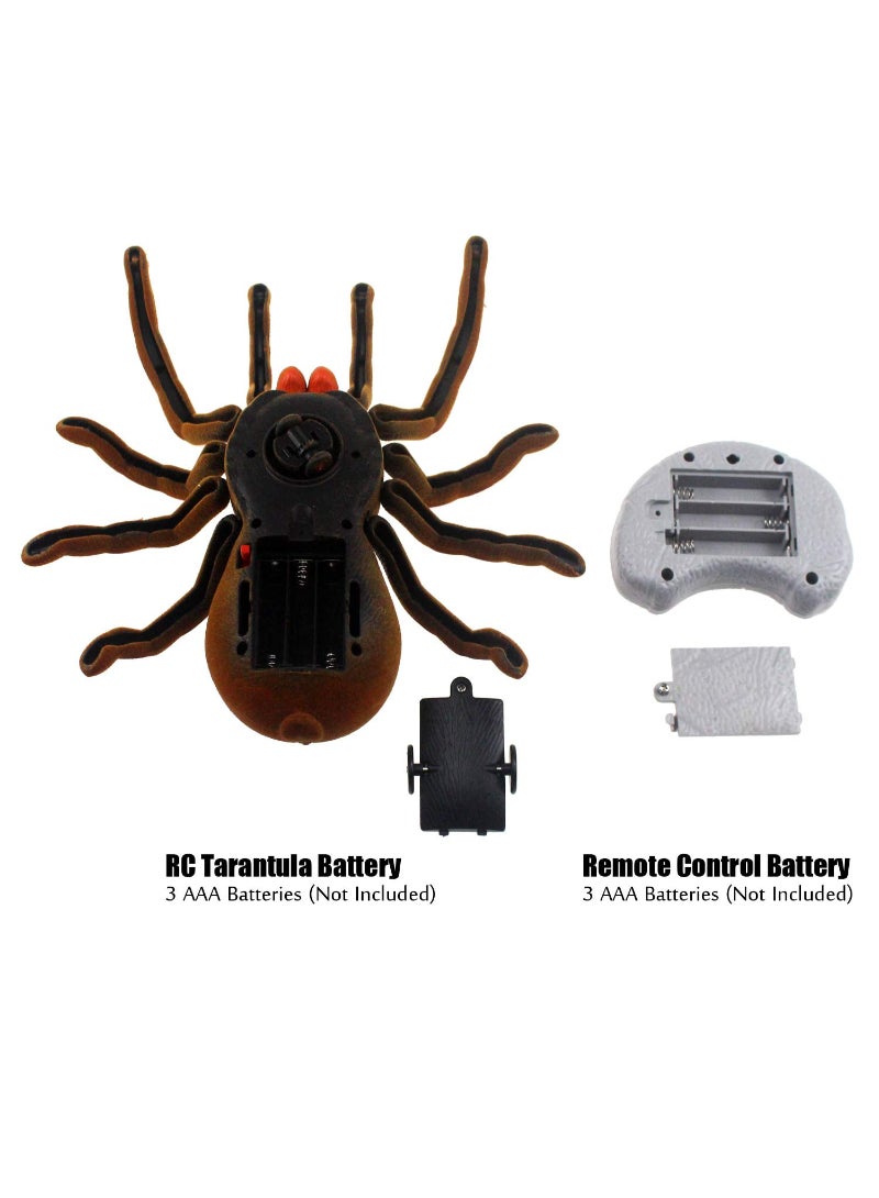 AROAQ Spider Remote Control Animal Large Size Realistic Tarantula Toys Vehicle Car Electric Kids Brown - Image 5
