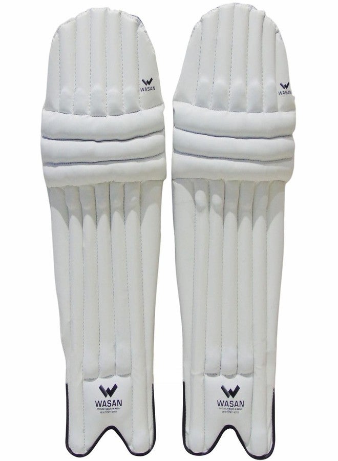 Wasan Cricket Batting Legguard Pads & Gloves Set | Boys Size (Age 8-12 Years) | Lightweight & Durable Protective Gear for Kids - Image 4