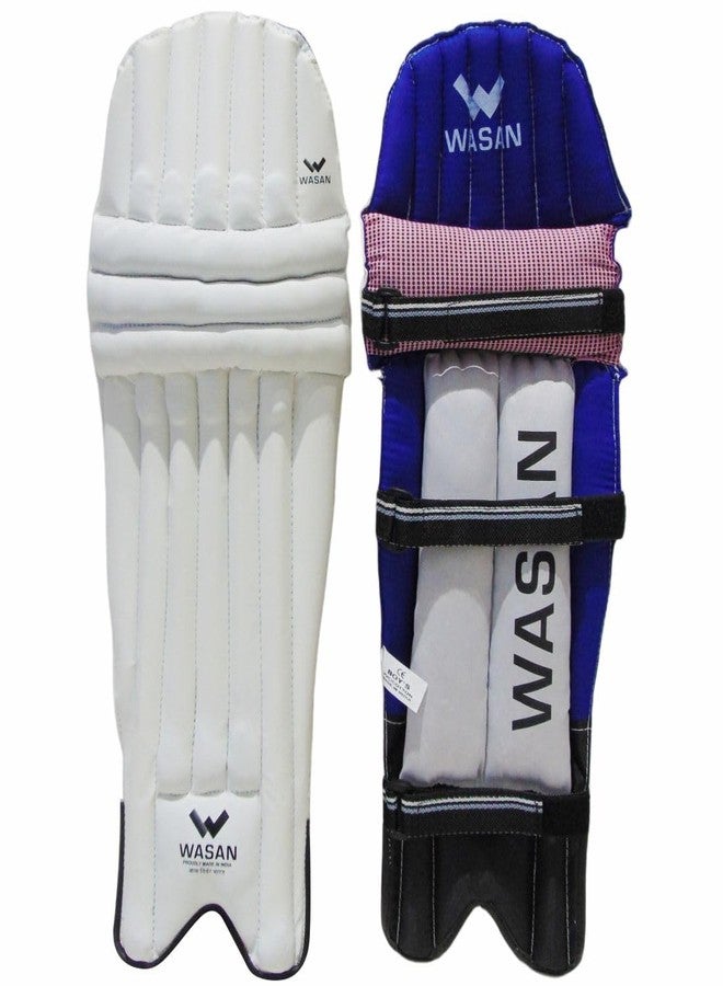 Wasan Cricket Batting Legguard Pads & Gloves Set | Boys Size (Age 8-12 Years) | Lightweight & Durable Protective Gear for Kids - Image 3