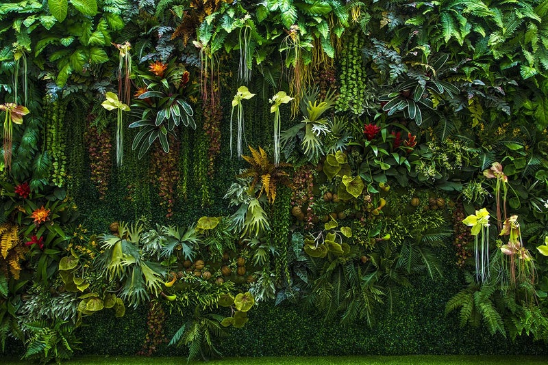 Reyhui Green Wallpaper Banana Leaf Floral Mural Wallpaper for Bedroom Living Room TV Background Sofa Wall (not self-Adhesive) - Image 2