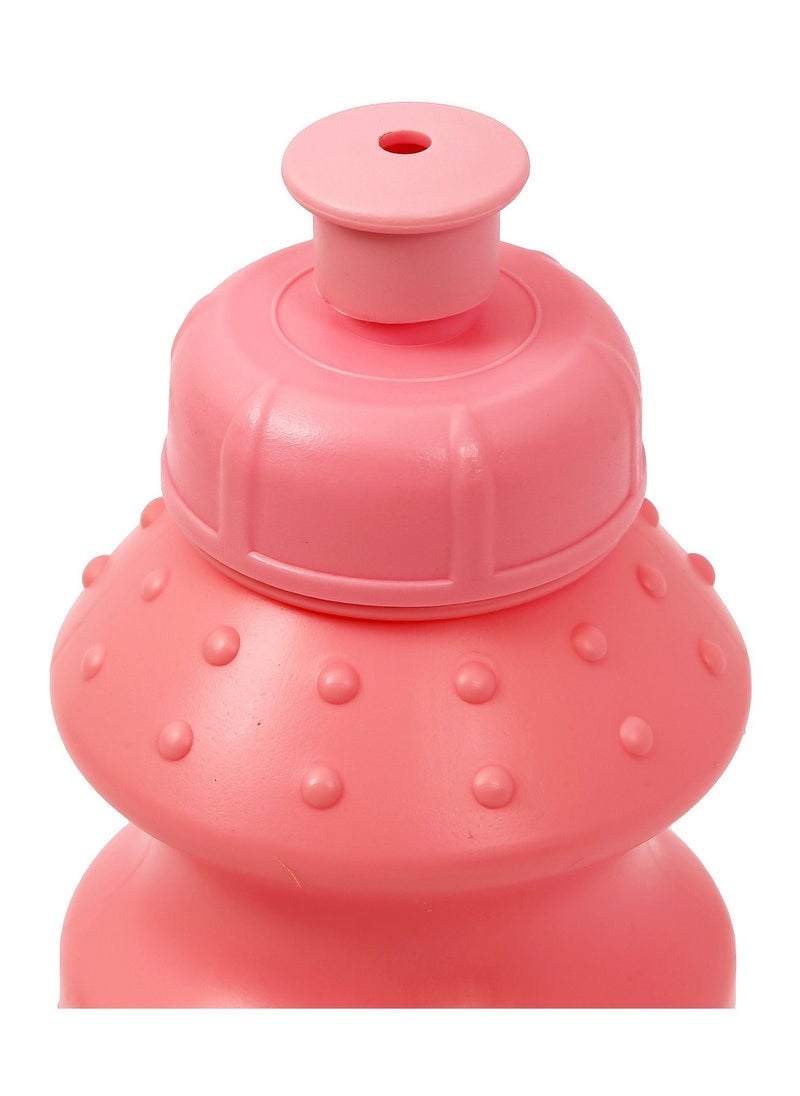Lunch Box With Bottle-Pink