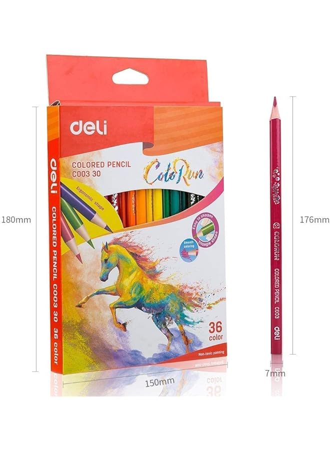 ديلي قلم تلوين 36 لون C003 30 - Image 3