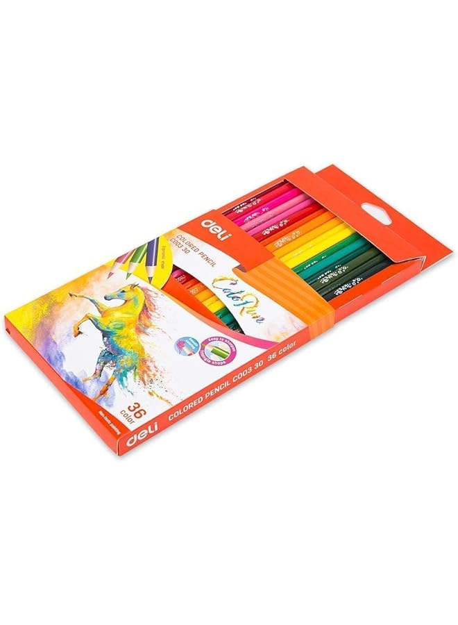 ديلي قلم تلوين 36 لون C003 30 - Image 4