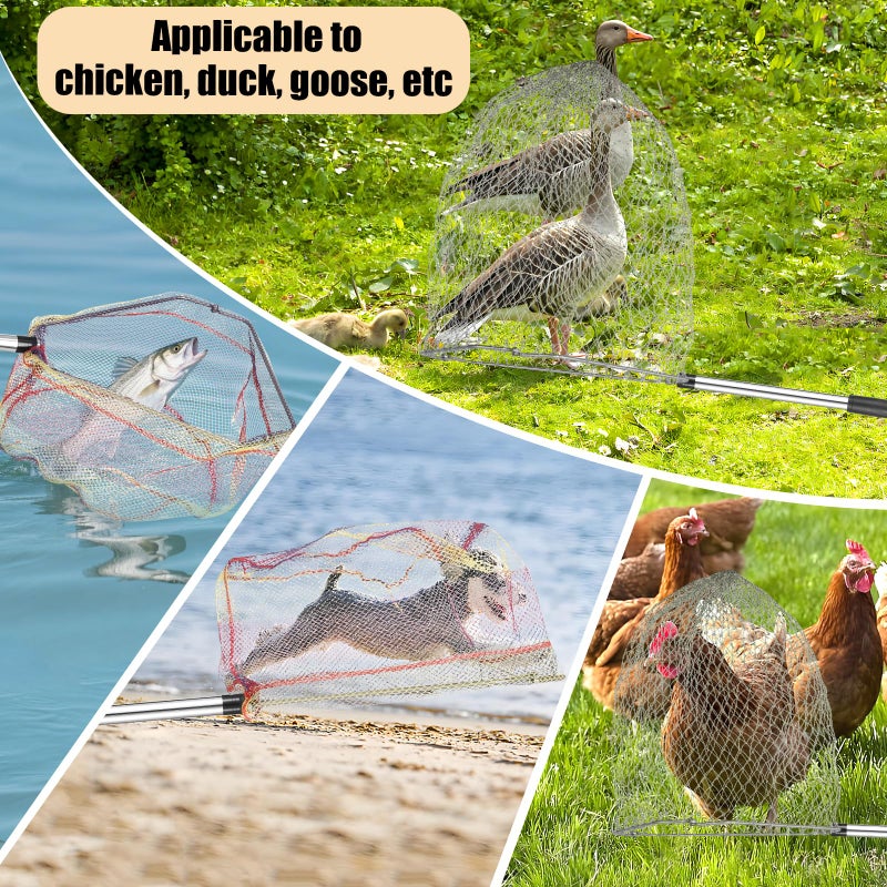 Woxnoc Chicken Catching Net 2 Pcs, Bird Catching Net, 32" to 80" Stainless Steel Poultry Catcher for Catching Small Chicken, Goose, Ducks, Fish, Birds(2 Nets, 1 Pole Included) - Image 5