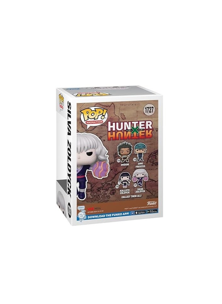 Funko Funko Pop! Anime: Hunter x Hunter - Silva Zoldyck  - Image 3