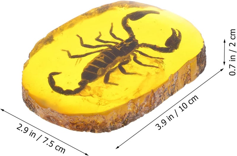 comfrt Amber Fossil with Insects Samples: Amber Insect Specimen Set Crystal Scorpion Specimens Home Decorations Collection Pendant Amber Stone Ornament - Image 4