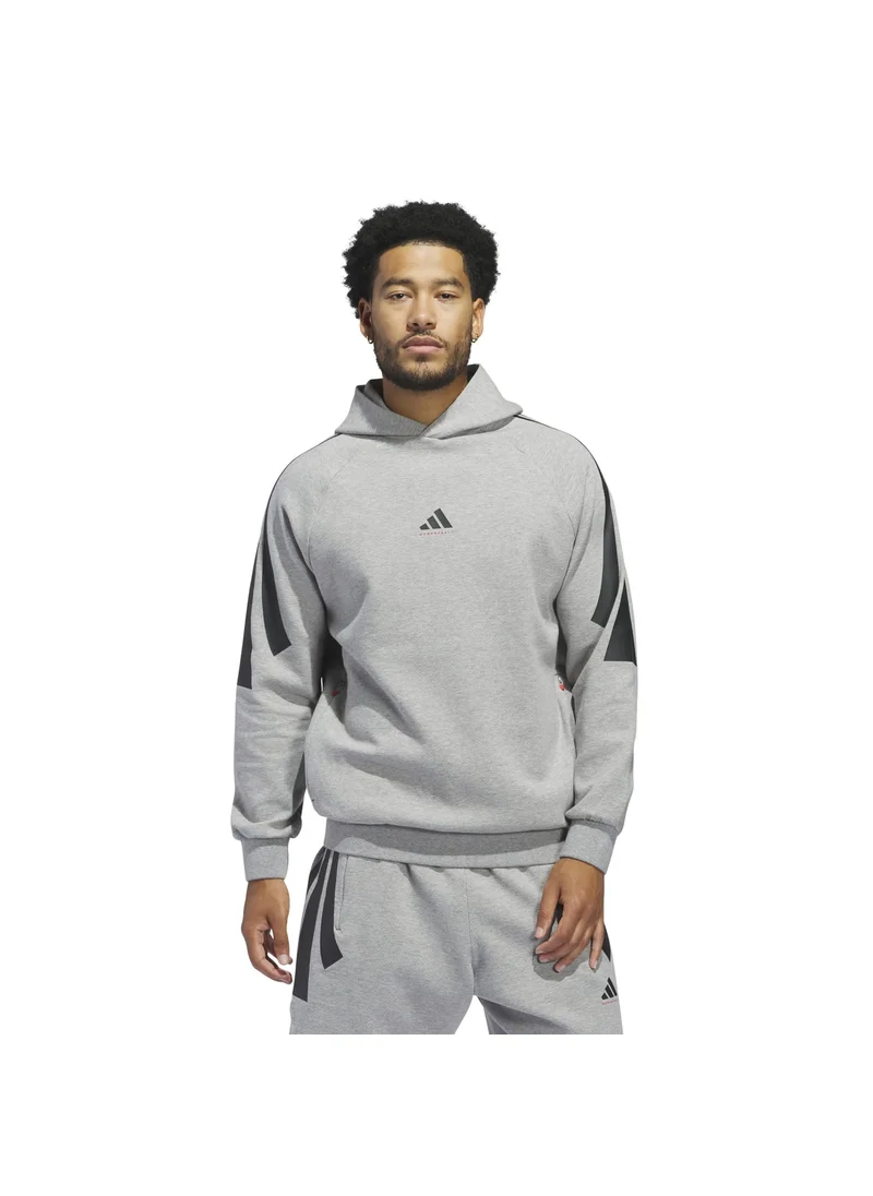Adidas adidas ADI BB PK HOODY Grey Originals Unisex SWEATSHIRTS
