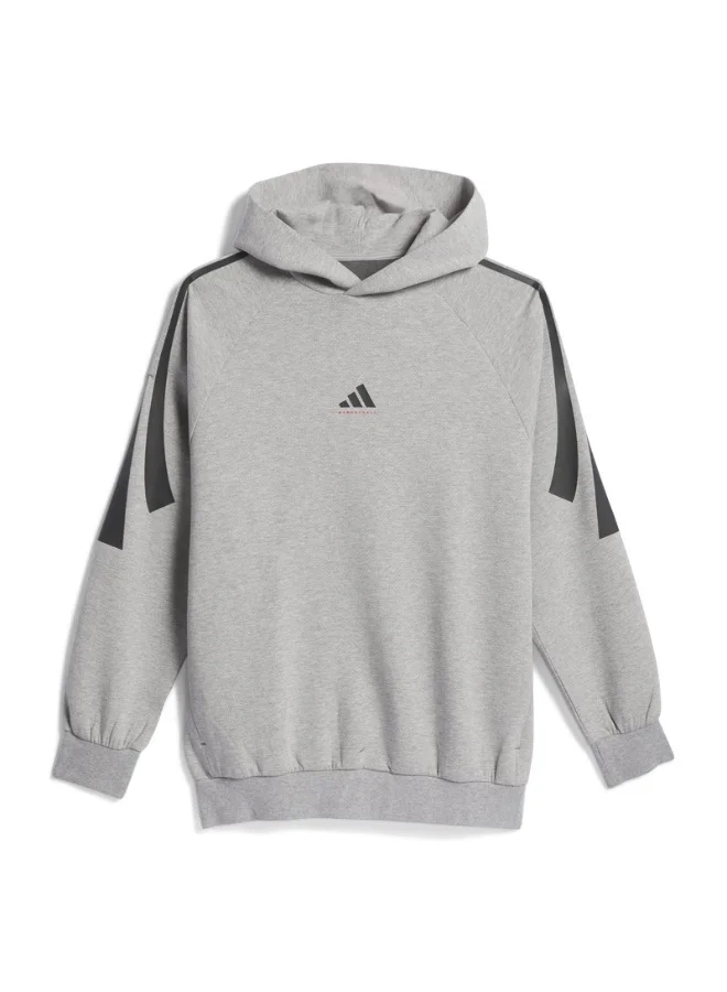 adidas ADI BB PK HOODY Grey Originals Unisex SWEATSHIRTS