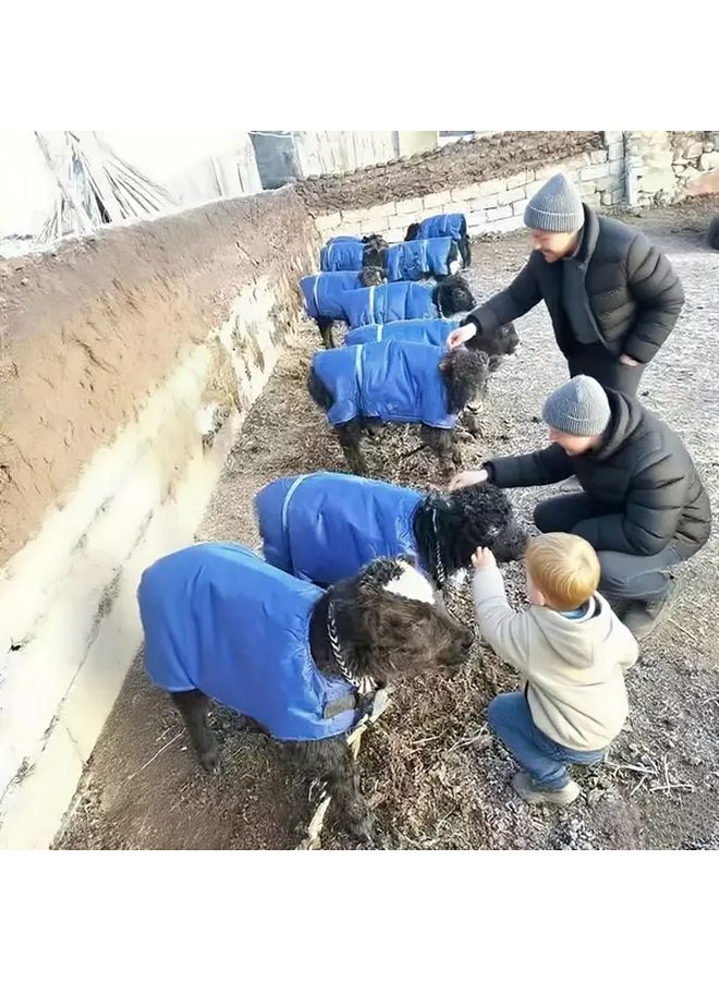 New Version Small Livestock Warmth Clothing For Calves Foals Lambs Winter Animal Supplies - Image 3