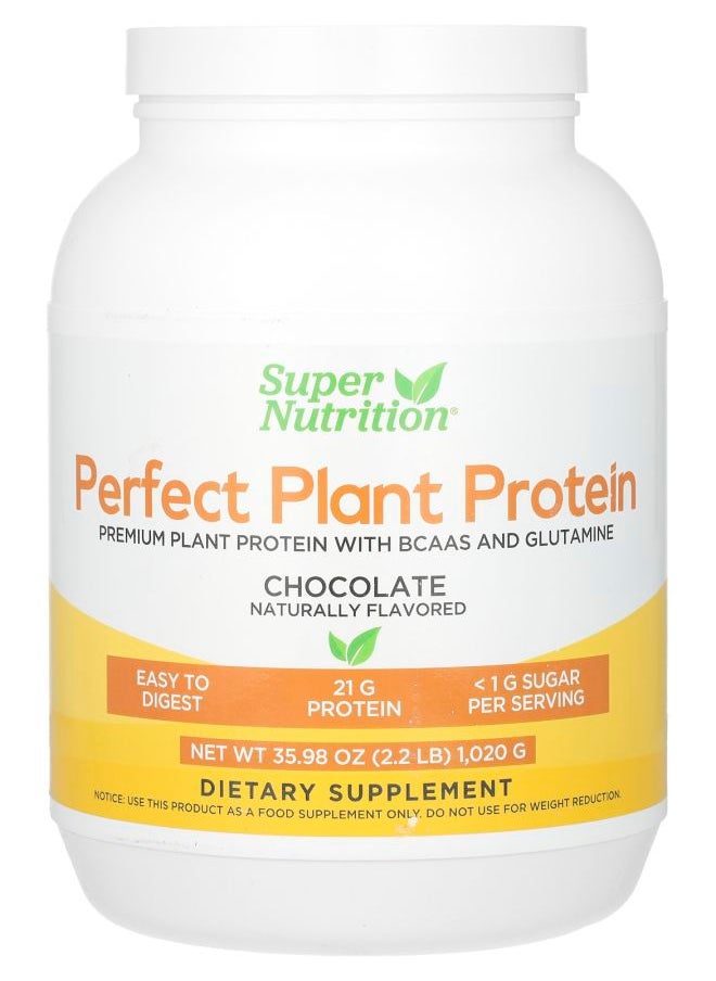 Super Nutrition Perfect Plant Protein Chocolate 2.2 lbs (1020 g) 