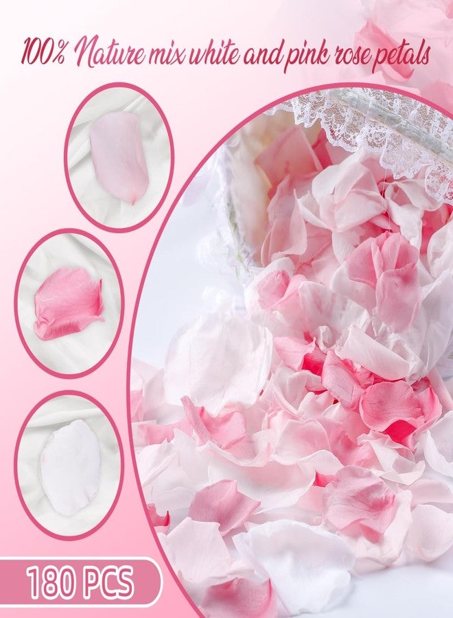 Eslibin 180 PCS Real Pink White Rose Flower Petals Confetti for Wedding Flower Girl to Throw, 1.75oz Freeze Dried Rose Petal for Proposal Centerpieces BabyShower Valentine's Day Romantic Night Decor - Image 5