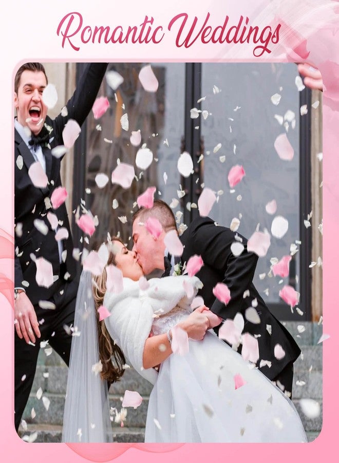 Eslibin 180 PCS Real Pink White Rose Flower Petals Confetti for Wedding Flower Girl to Throw, 1.75oz Freeze Dried Rose Petal for Proposal Centerpieces BabyShower Valentine's Day Romantic Night Decor - Image 3