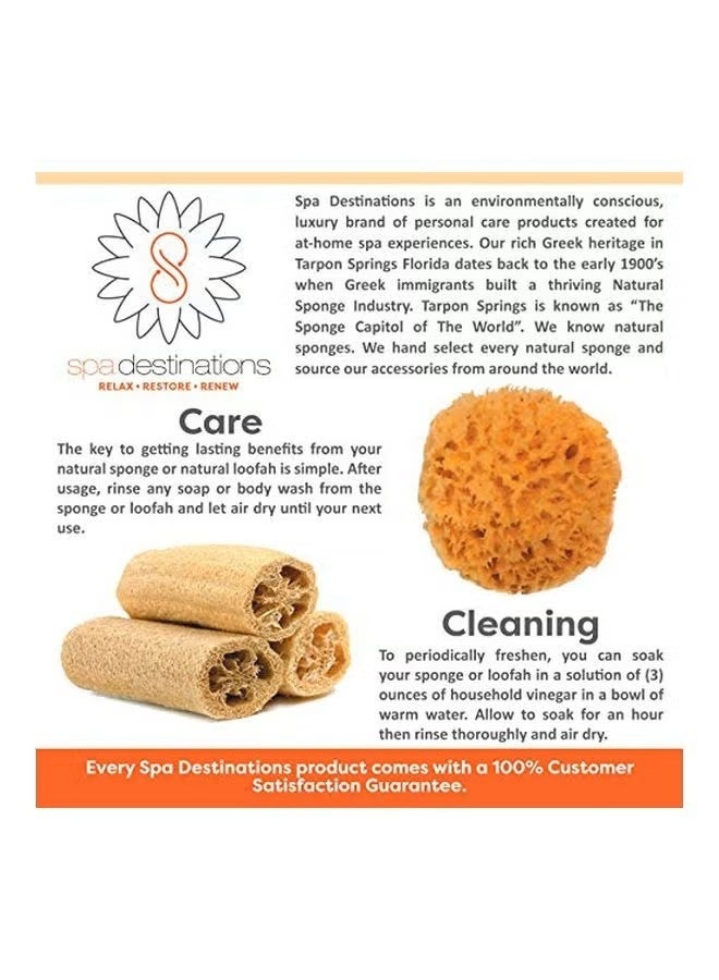 فرشاة للجسم للاستخدام الجاف والرطب من قطعتين بني - Image 4