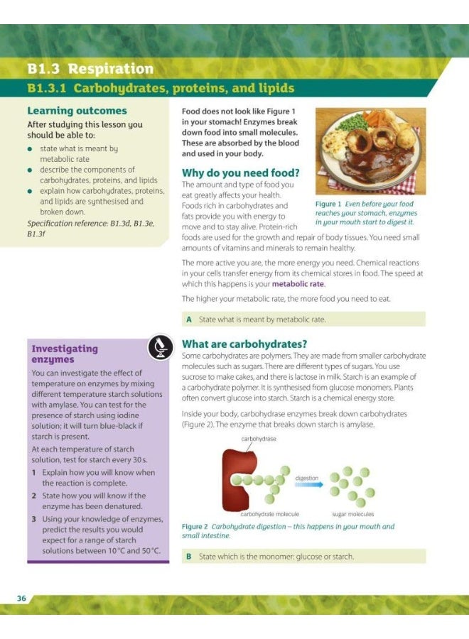 OCR Gateway GCSE Biology for Combined Science Stud - Image 2
