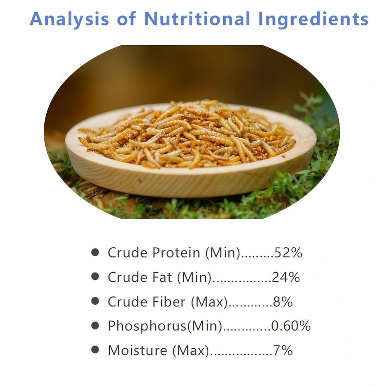 zenithworks 20oz Dried Mealworms - High Protein, All Natural Non-GMO Treats for Chickens,Birds,Reptiles - Image 2