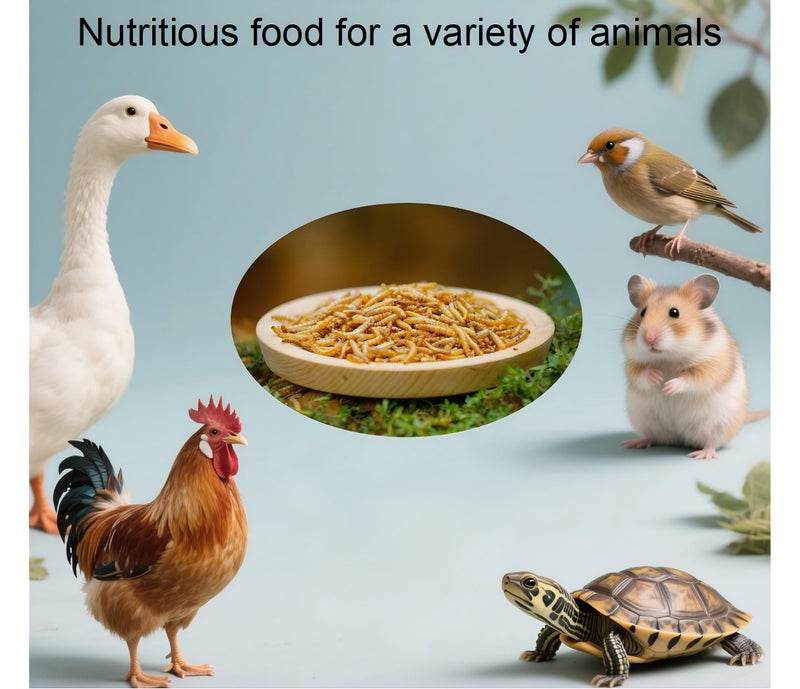 zenithworks 20oz Dried Mealworms - High Protein, All Natural Non-GMO Treats for Chickens,Birds,Reptiles - Image 3