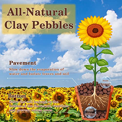 Legigo 2 LB Organic Leca Clay Pebbles for Plants, 4mm-16mm 100% Natural Leca Balls for Indoor Plants, Hydroton Clay Pebbles for Plants Hydroponic Aquaponics Growing Orchid Drainage Terrarium - Image 3