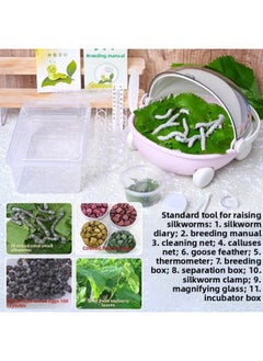 Generic Scientific Bag Spring Silkworm Live Larvae Student Mulberry Leaf Silkworm Baby Live Color Silkworm Suit Silkworm Eggs Mail Free Shipping-Specifications:Silkworm Color Set + Pink Cradle Truck Breeding Box (20 Mixed-color Silkworm Treasures + 100 Mixed-color Silkworm Eggs + Standard Tool For Raising Silkworms) [free Mulberry Leaves]  - Image 1