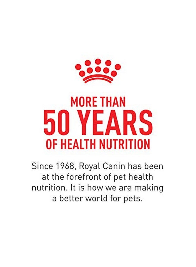 رويال كانين طعام جاف للقطط البالغة من سلالة راجدول، كيس 7 رطل - Image 5