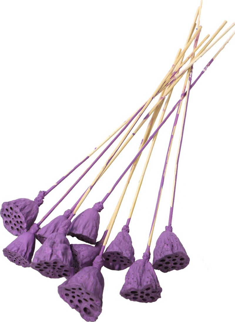 Generic Artificial Flower Warehouse 10 Pieces Medium Size Lotus Plant with Stem Purple (Real Lotus) 