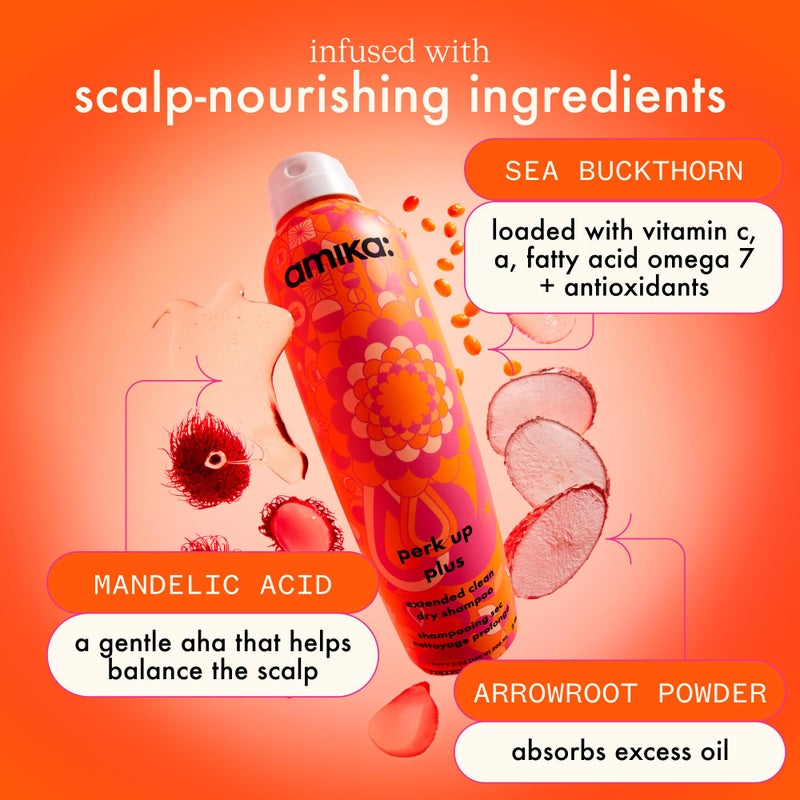 amika أميكا بيرك أب بلس شامبو جاف نظيف ممتد - Image 3