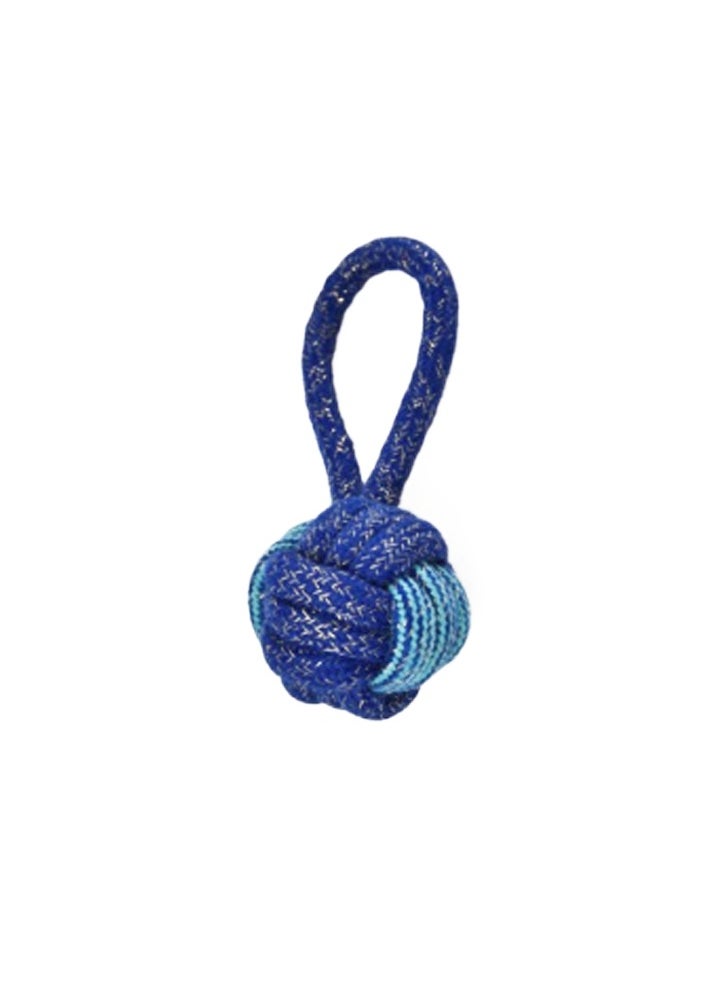 Naomi Naomi Blue Chew Toy 