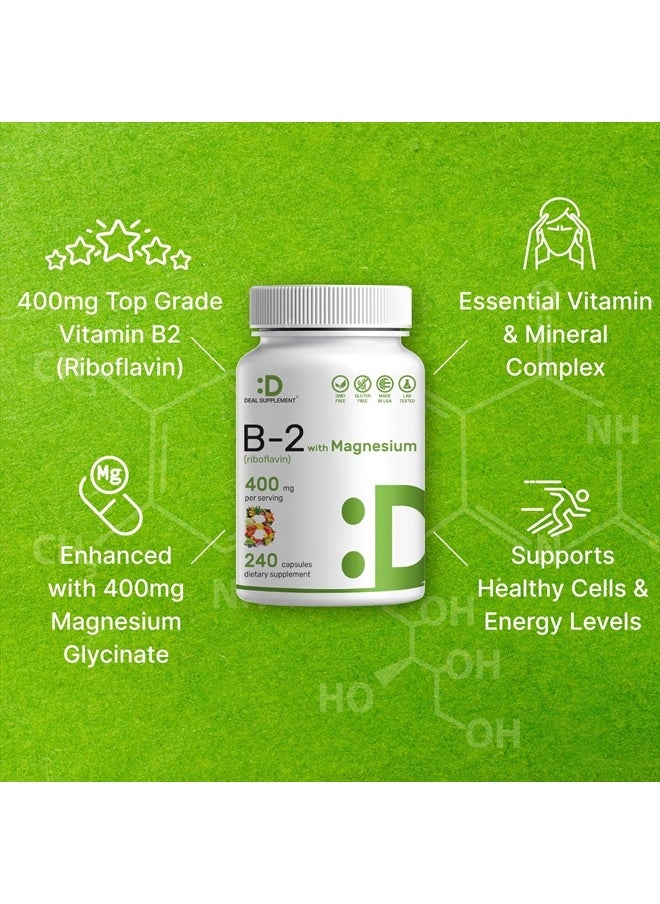 DEAL SUPPLEMENT - فيتامين ب2 ريبوفلافين 400 مجم، 240 كبسولة | مجموعة فيتامينات ومعادن أساسية مع جليسينات المغنيسيوم | يعزز صحة الخلايا وإنتاج الطاقة - Image 1