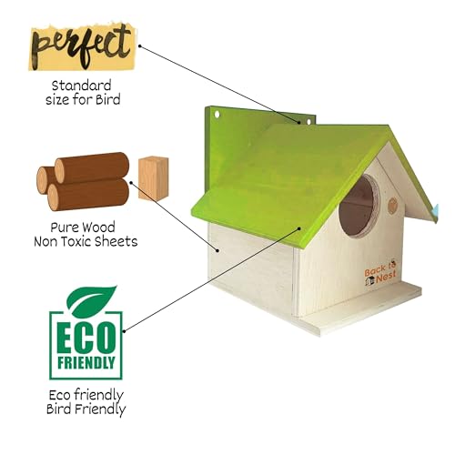 BackToNest Bird House for Balcony and Garden Hanging for Sparrow and All Small Birds Birds Nest Made with Russian ply Wooden -BVN5 (1 Nos) - Image 3