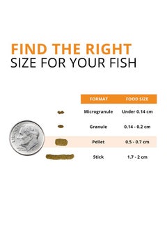 Bug Bites Goldfish Fish Food, Pellets For Medium To Large Sized Fish, 3.53 Oz, A6584 - pzsku/Z555384BA876D7865C658Z/45/_/1726219894/328cd90f-dbba-4f3e-83f6-f4833986396c