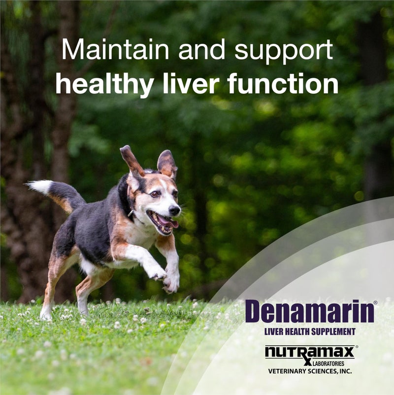 Nutramax Laboratories Denamarin Liver Health Supplement for Medium Dogs - With S-Adenosylmethionine (SAMe) and Silybin, 30 Tablets - Image 2