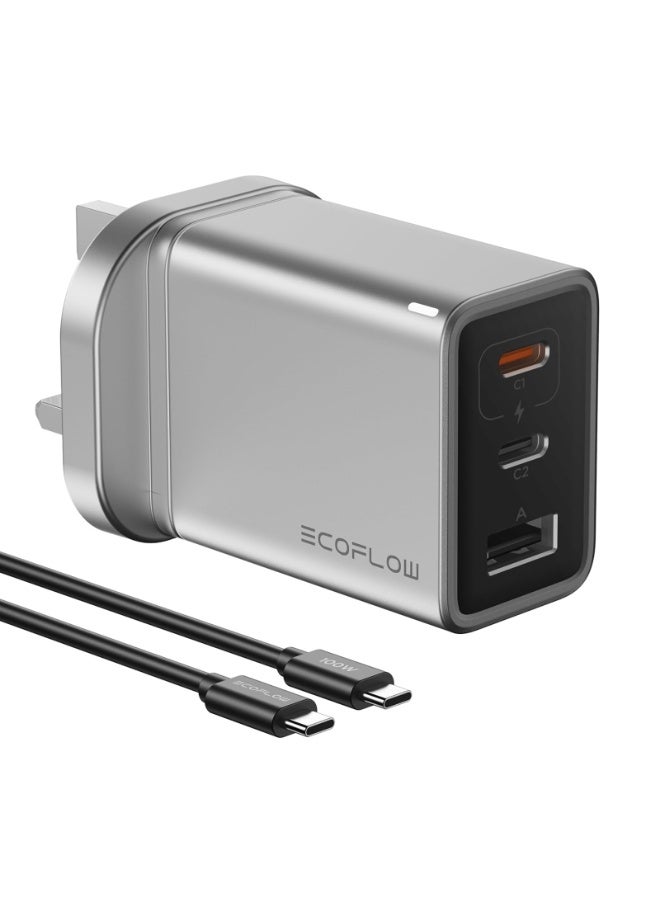 ECOFLOW ECOFLOW Gan Rapid Charger 65W