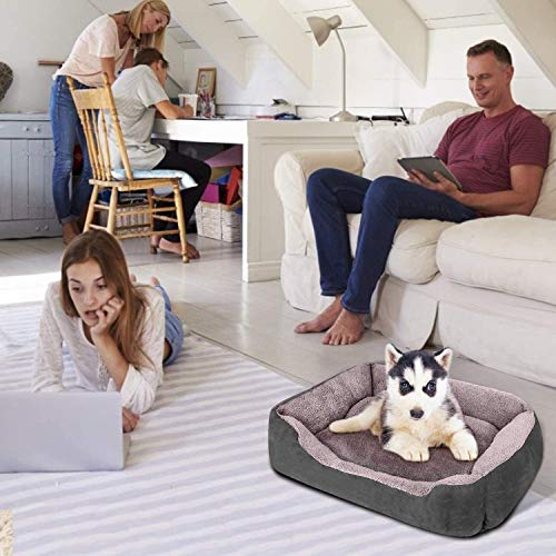 KOZI PET Dog Beds for Dog & Cats, Rectangle Pet Bed Thickened Enough with Soft Coral Fleece and,Durable Dog Sofa Pet Bed (Medium, Grey) - Image 4