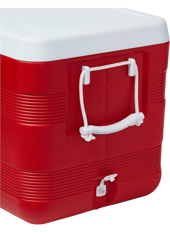 Cosmoplast - Keep Cold Plastic Cooler Icebox Deluxe 127 Liters - Image 1