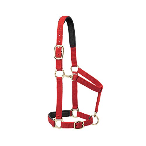 Weaver Equine Breakaway Horse Halter, Comfort Foam Padding, Adjustable Chin & Throat Snap Halters for Horses, Equine Tack,Average Size, Solid Red - Image 2