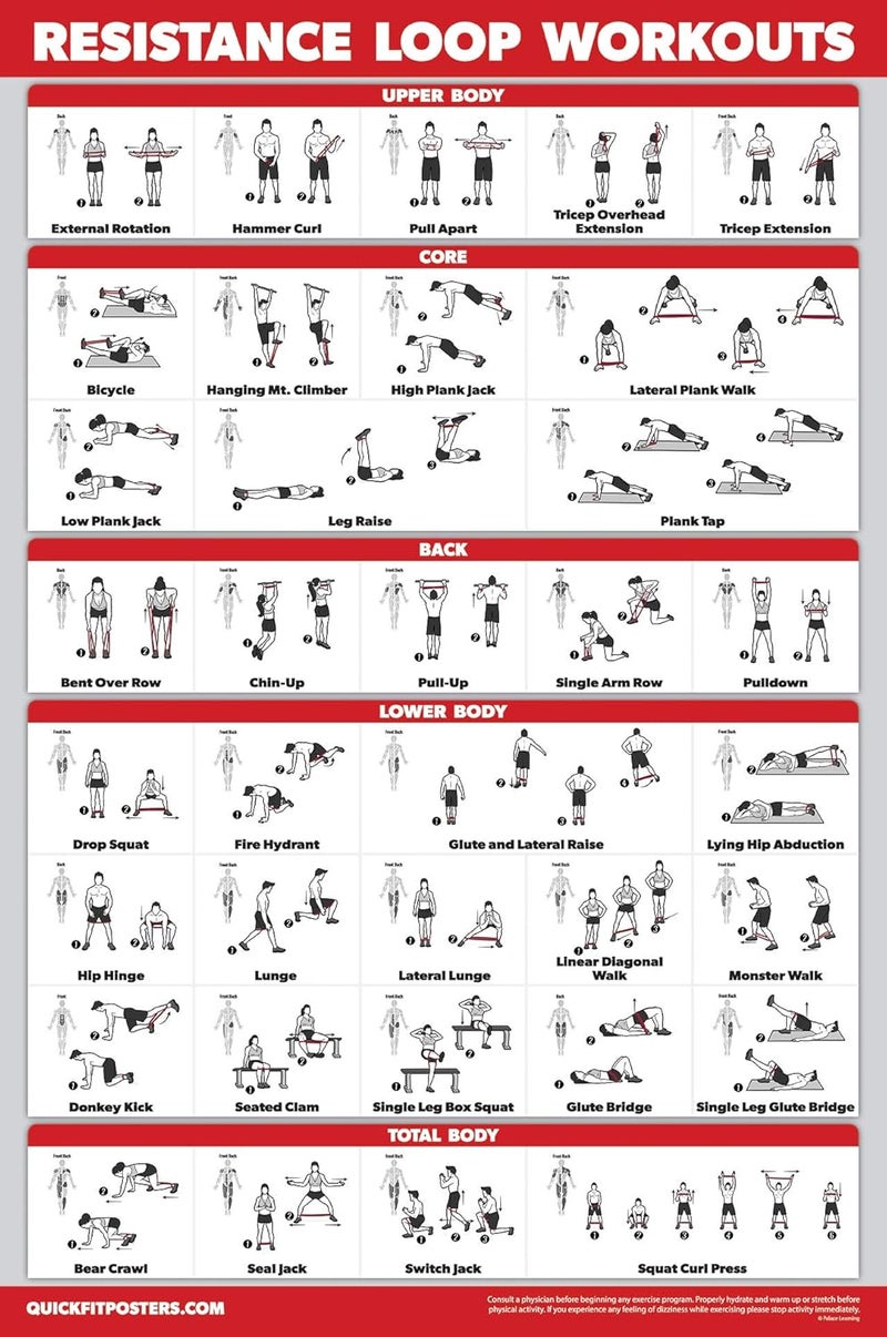 Palace Learning QUICKFIT Resistance Loop Bands Workout Poster - LAMINATED - Exercise Chart for Resistance Band Loops - 18" x 24" - Image 1
