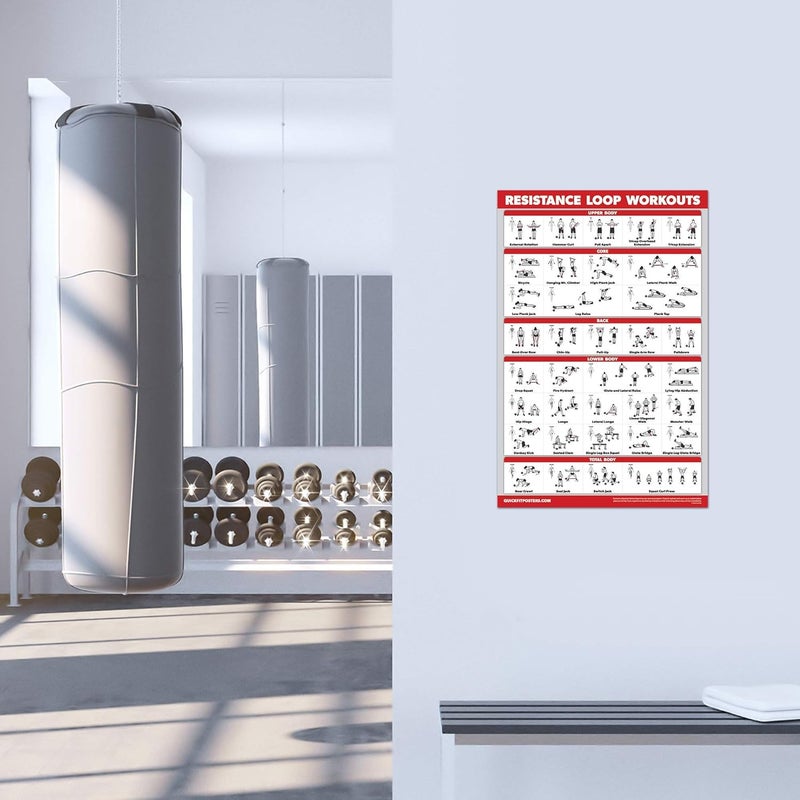 Palace Learning QUICKFIT Resistance Loop Bands Workout Poster - LAMINATED - Exercise Chart for Resistance Band Loops - 18" x 24" - Image 3